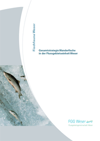 Titelseite Gesamtstrategie Wanderfische (FGG Weser)