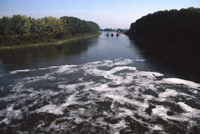 Eutrophierungserscheinung an der Mittelweser (FGG Weser)