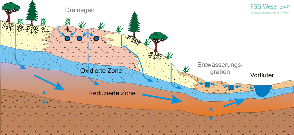 Prinzipskizze eines Grundwasserleiters (FZJ, Prof. Wendland, 2008)